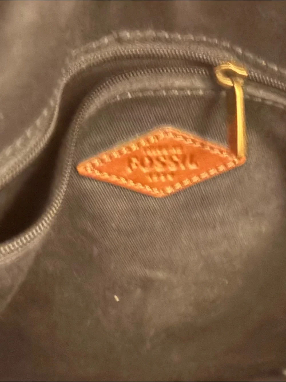 Fossil super cute
